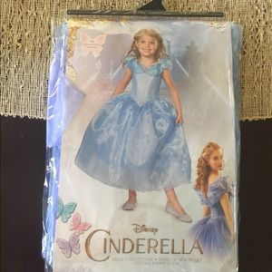 Cinderella Costume - Brand New